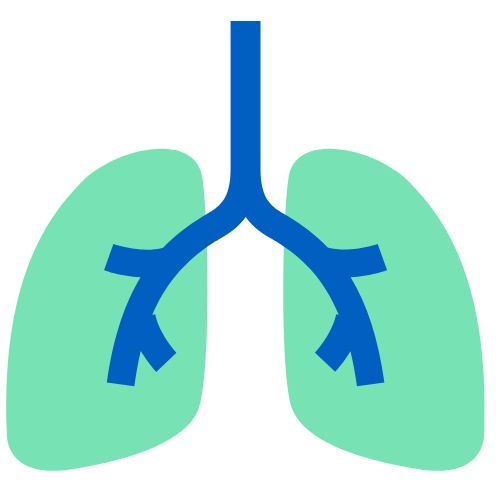 طب الرئة